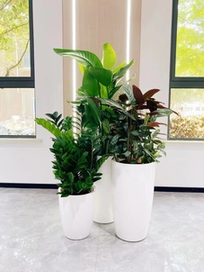 价格亲民的宁波绿化养护,你值得拥有!