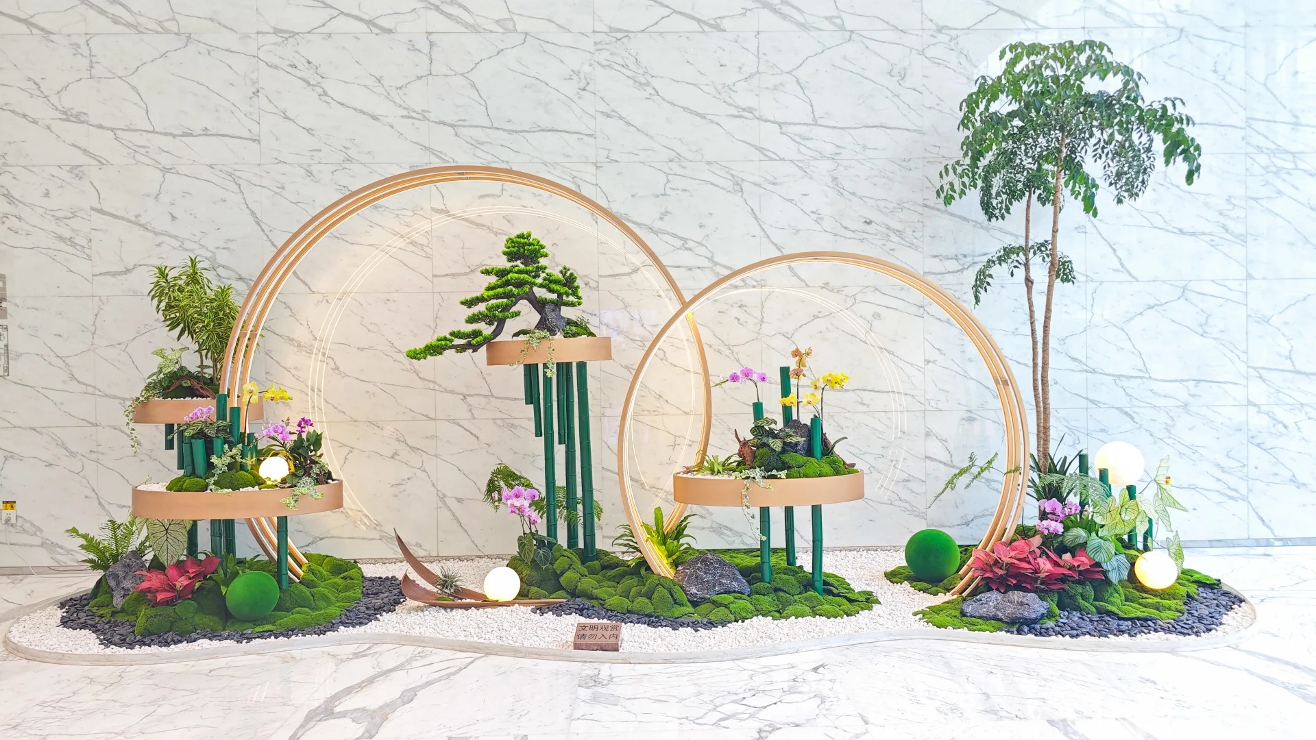 体验绝佳服务，选北仑盆景租摆，拥抱绿色世界！