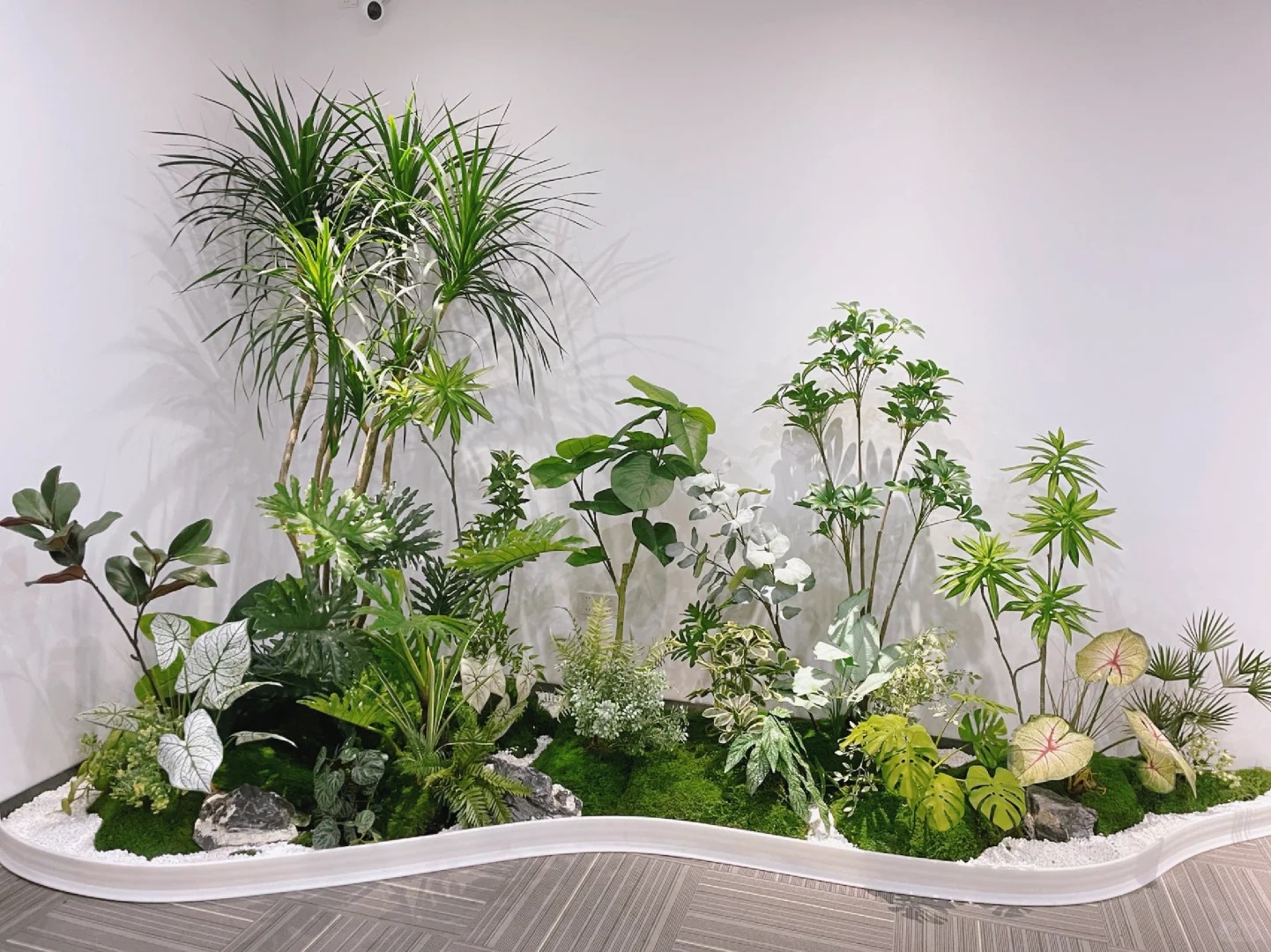 了解奉化植物出租方案，让绿植点亮生活！